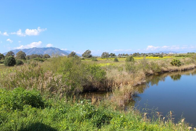 Rent a Trekking Bike: Full Day 24 Hours - Accessibility and Fitness