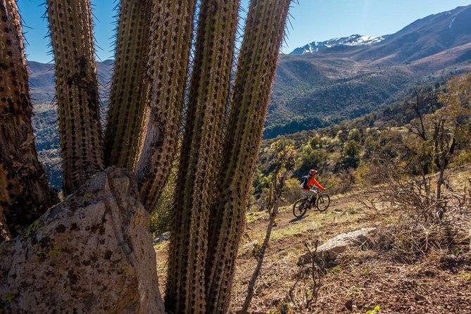 Rent an Electric Mountain Bike in Santiago to Ride in a Bike Park - Included in the Tour