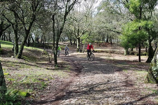 Rent Bikes in Porto for the Portuguese Way of Santiago De Compostela - Customer Feedback