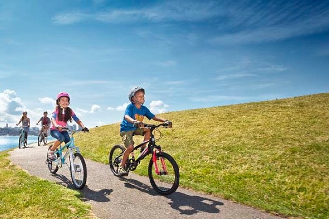 Rent City Bike Optional Baby Seat or Child Bike :Visit Maspalomas - City Bike Rental Duration