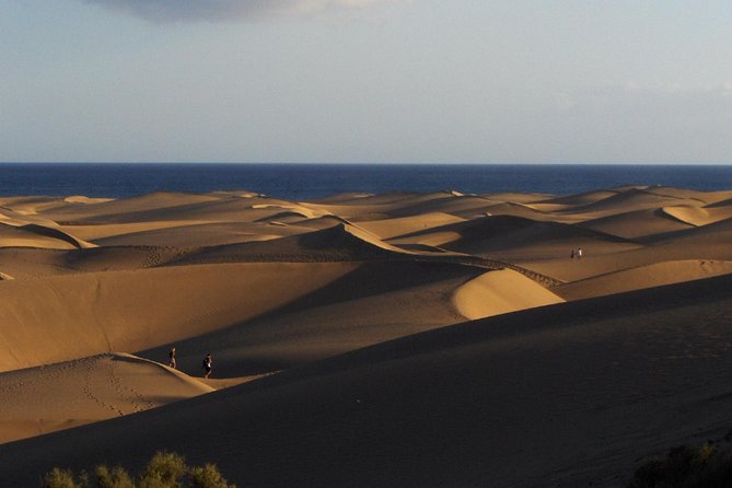 Rent City Bike Optional Baby Seat or Child Bike :Visit Maspalomas - Included Rental Equipment