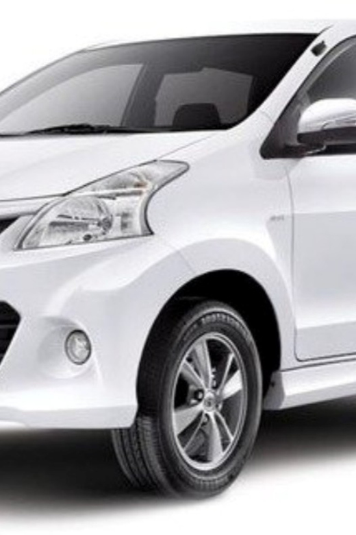 Rent One Car in Bali for 1-4 People - Passenger and Baggage Allocation