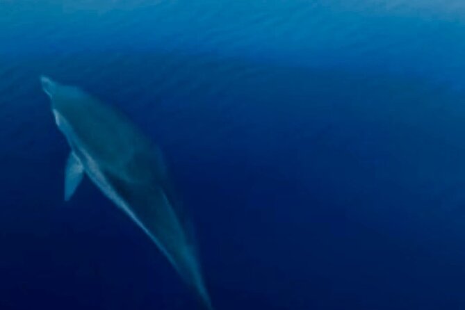 Rent Our Boat Principessa in Stromboli - Meeting Point and Pickup