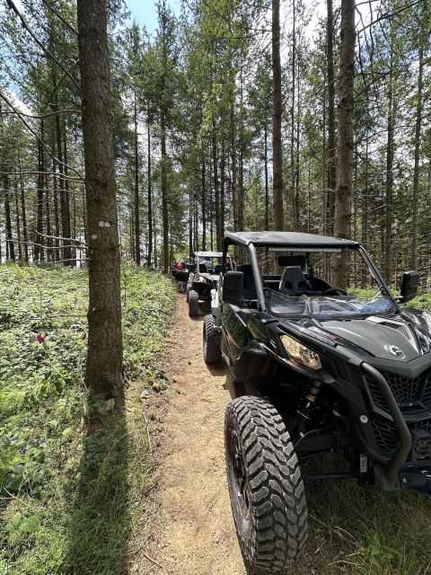 Rent SSV - Key Points