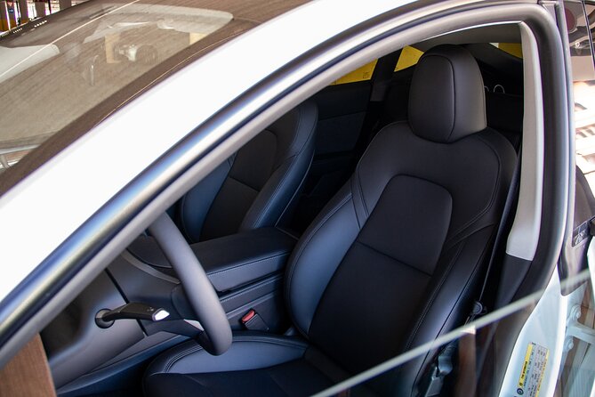 Rent Tesla Model Y LR - Accessibility Features