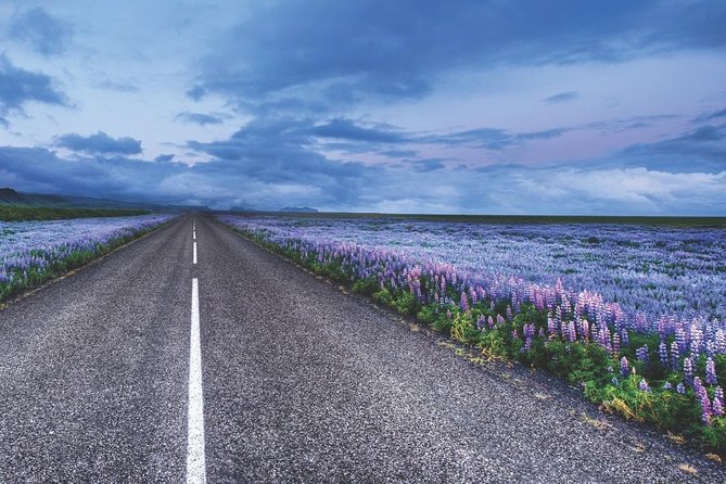 Rent Unlimited High Speed Pocket Wifi in Iceland - Support and Accessibility