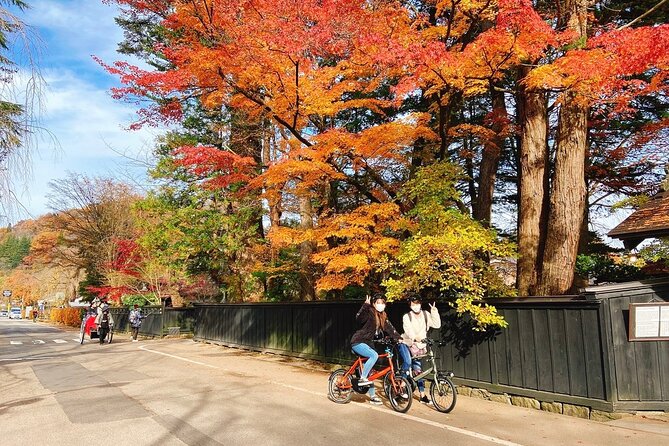 Rental Bicycle With Electric Assist / Satoyama Cycling Tour - Tour Details