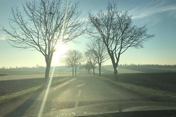 Rental Car With Driver in Strasbourg - Availability 7 Hours - Customer Reviews