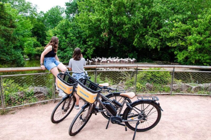 Rental E-Bike for a Day (+4h) - Included Items and Accessories