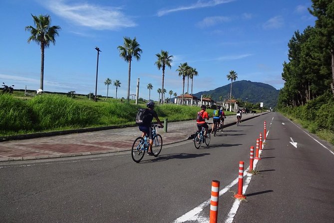Rental Hybrid Bikes at Shizuoka Station (24 Gears: Not E-Bikes) - Activity Description
