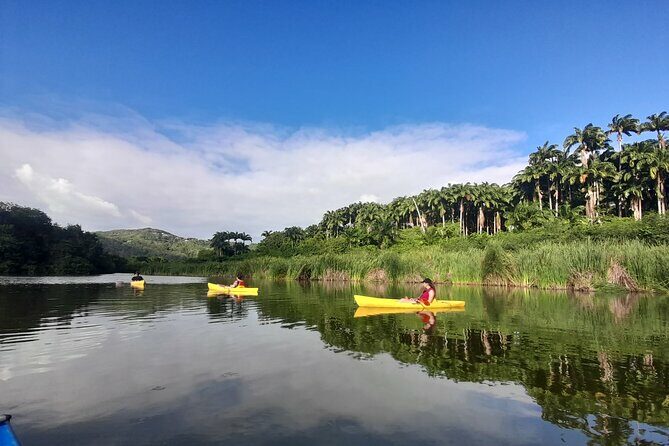 Rental Kayaking or Stand-up Paddle 2H - An Introduction to the Mitan Pond Experience