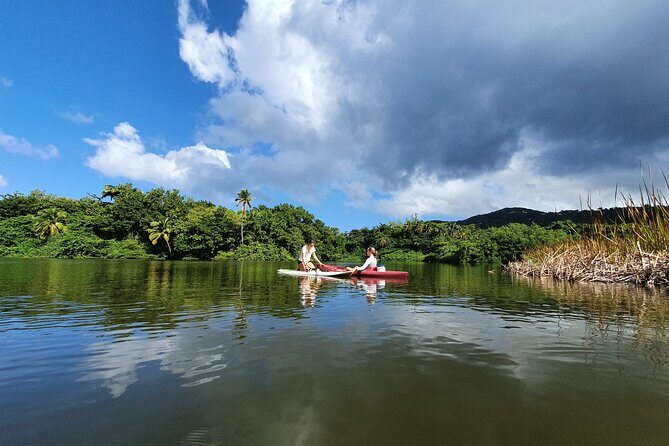 Rental Kayaking or Stand-up Paddle 2H - The Value & Practicalities