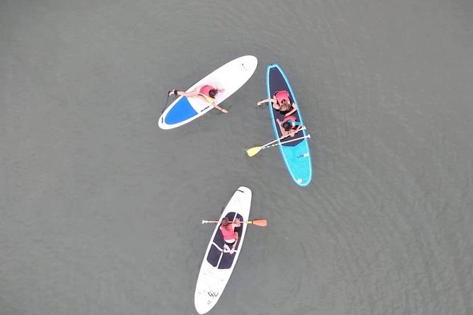 Rental of Boards and Stand up Paddle Lessons - Insurance and Confirmation