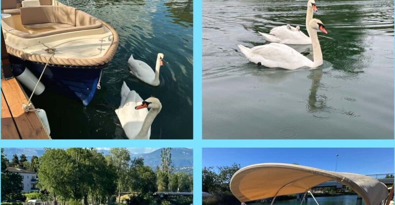 Rental of Electric Boats Without a License - Seasonal Activities and Events