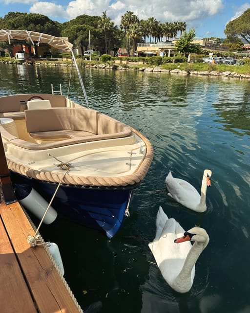 Rental of Electric Boats Without a License - Nearby Amenities and Facilities