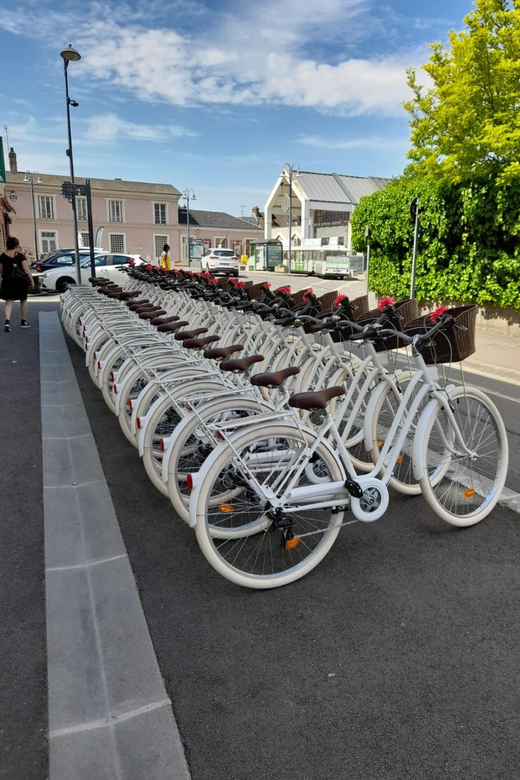 Rental Station - Electric Bike - Luggage Storage and Baby Seat