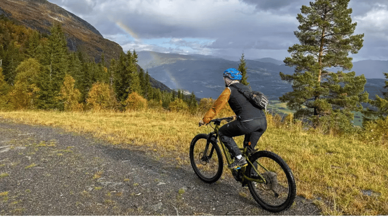 Rentals | E-Mountain Bike - Full Suspension - Key Points