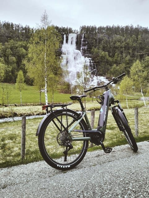 Rentals | E-Trekking Bike - Performance and Versatility