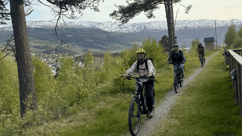 Rentals | E-Trekking Bike - Included Equipment