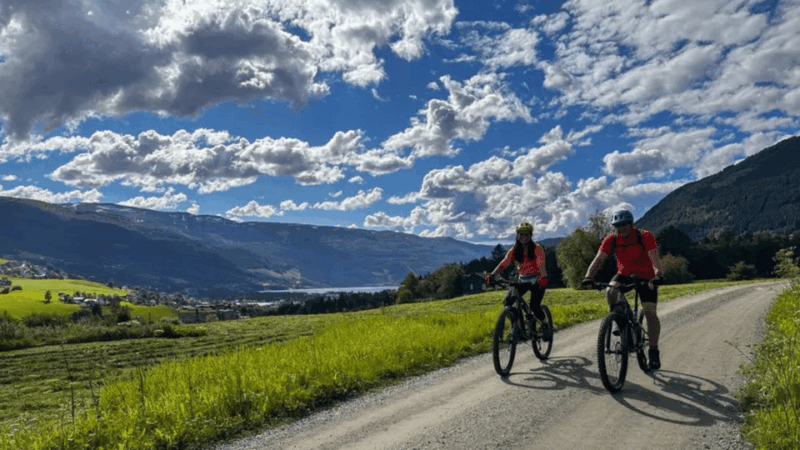 Rentals | Mountain Bike - Full Suspension - Meeting Point
