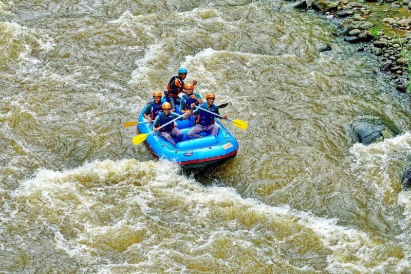 [Rentcar Included] Bali Ayung River Rafting Tour - Key Points