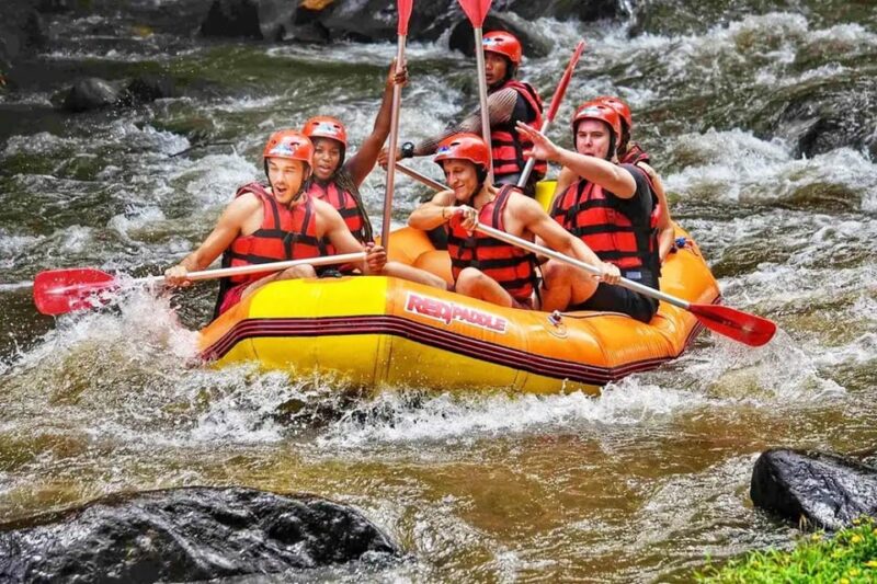[Rentcar Included] Bali Ayung River Rafting Tour - Highlights