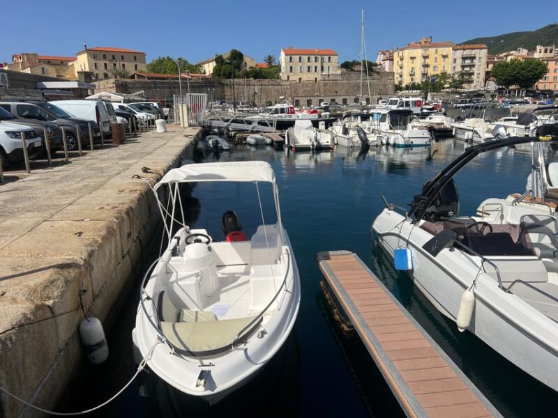 Renting a Boat Without a License - Pricing and Booking