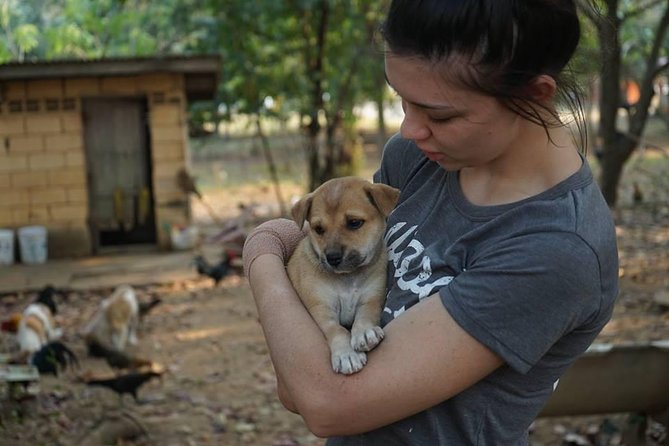 Rescue P.A.W.S. Day Visit - Booking and Confirmation