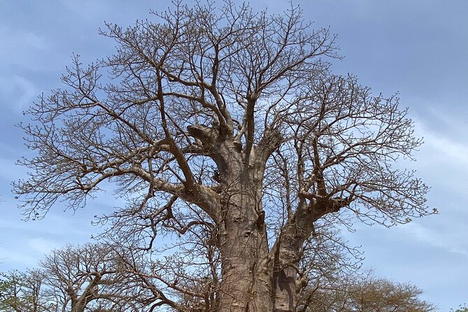 Reserve of Bandia - Activities and Experiences
