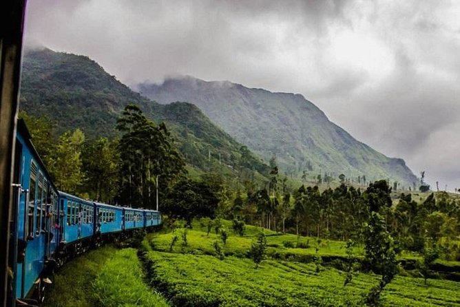 Reserved Train Seats From Ella to Colombo - Review Insights and Ratings