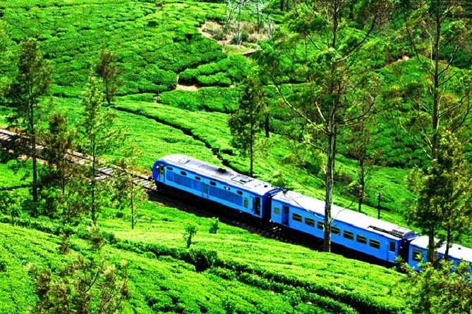 Reserved Train Seats From Ella to Colombo - Operator and Pricing Information