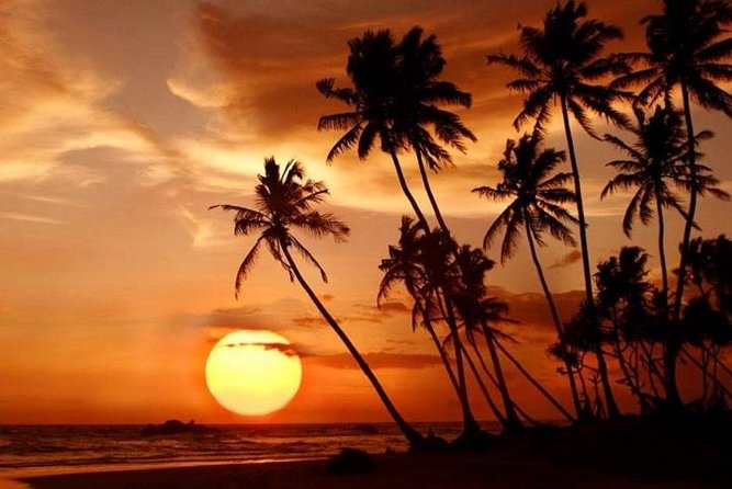 Reserved Train Seats From Unawatuna/ Galle to Colombo - Contact and Support