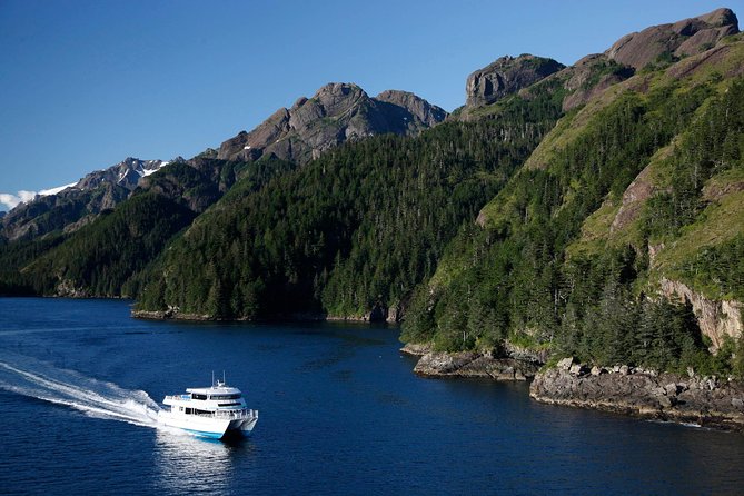 Resurrection Bay Cruise With Fox Island - Wildlife Spotting Opportunities