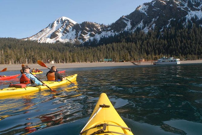 Resurrection Bay Cruise With Fox Island - What to Expect