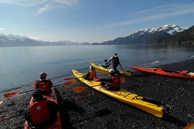 Resurrection Bay Kayaking Adventure - Experience Highlights