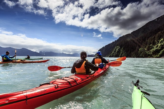 Resurrection Bay Kayaking Adventure - Kayaking in Resurrection Bay