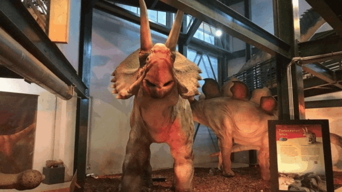 Rethymno & Bali: Day Trip to Dinosauria Park & Cretaquarium - Exclusions