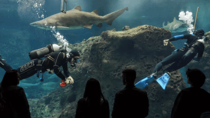 Rethymno & Bali: Day Trip to Dinosauria Park & Cretaquarium - Accessibility and Restrictions