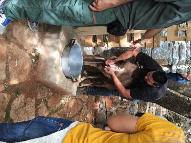 Rethymno: Explore Shepherd's Hut and Cheese Making Process - Inclusion and Exclusion