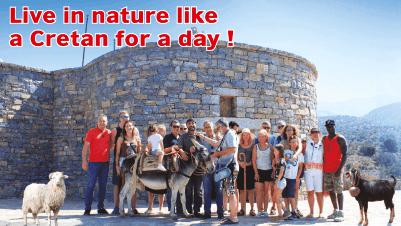 Rethymno: Gastronomy & Culture Day Trip | Cretan Experience - Itinerary and Activities