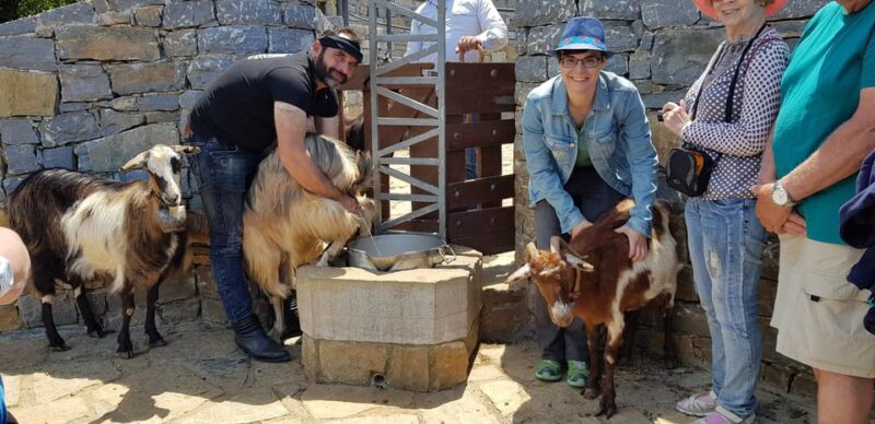 Rethymno: Gastronomy & Culture Day Trip | Cretan Experience - Inclusions and Additional Information