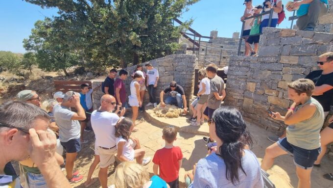 Rethymno: Gastronomy & Culture Day Trip | Cretan Experience - Hands-on Agricultural Activities