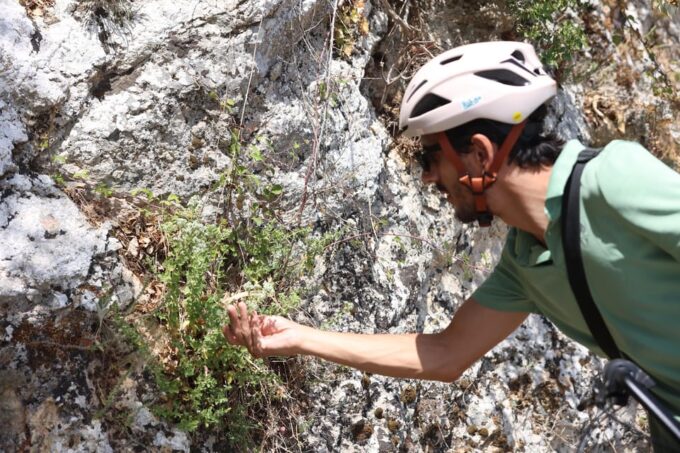 Rethymno: Guided E-Bike Tour at Undiscovered Amari Valley - Cost and Cancellation Policy
