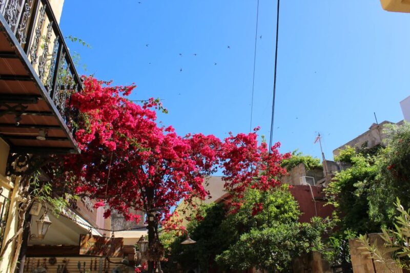 Rethymno History, Arts & Crafts Private Tour - Rethymno Region Sightseeing