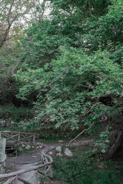 Rethymno: Mili Gorge and Military Museum Day Trip W/ Lunch - Key Points