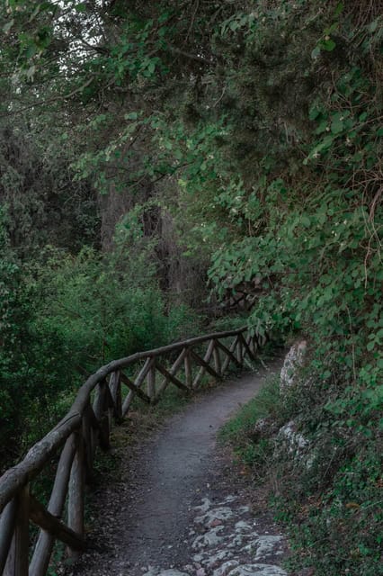 Rethymno: Mili Gorge and Military Museum Day Trip W/ Lunch - Itinerary and Activities