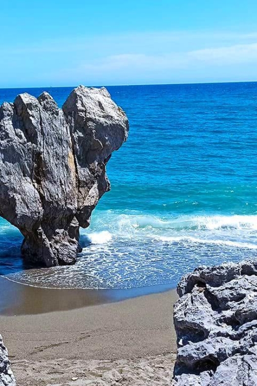 Rethymno Old Town - Preveli Beach - Kourtaliotiko Gorge - Stops & Activities