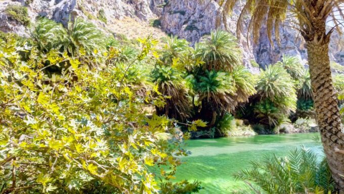 Rethymno Old Town - Preveli Beach - Kourtaliotiko Gorge - Kourtaliotiko Gorge