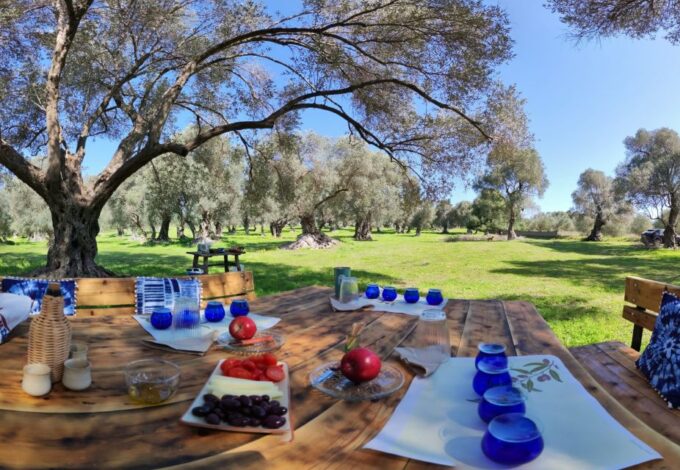 Rethymno: Olive Oil Tasting With Cretan Food Pairing - Meet at Valide Cooking Activities Building