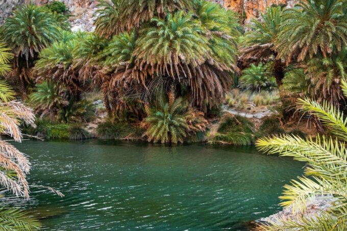 Rethymno: Preveli Beach Damnoni Beach Kourtaliotiko Day Trip - Important Information